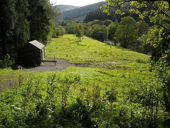 Photo 6"x4" Field Beside River Balvag in Strathyre Strathyre\/NN5617 c2008