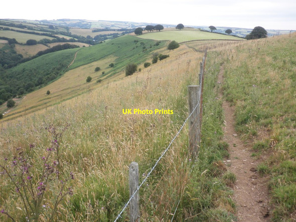 Photo 6"x4" Footpath, above the Exe Valley Withycombe\/SS8835 c2013