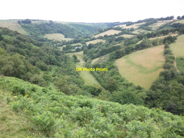 Photo 6"x4" Looking down towards Nethercote Withycombe\/SS8835 c2013