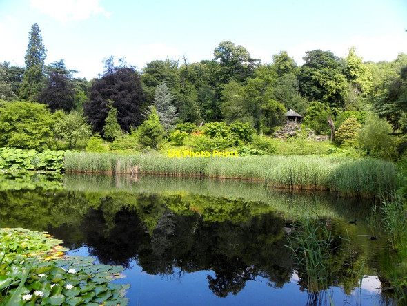 Photo 6"x4" Chatsworth - The Grotto Edensor c2013