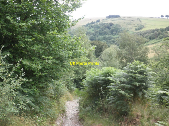 Photo 6"x4" The path up to Room Hill North Court\/SS8537 c2013