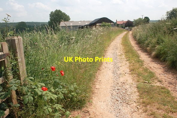 Photo 6"x4" Track to Airyholme Wiganthorpe c2013