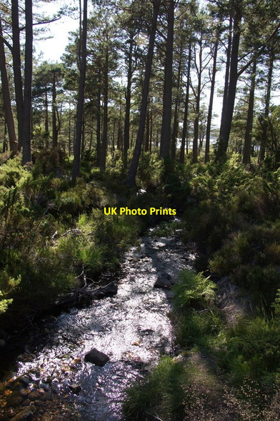Photo 6"x4" Allt a Choire Bhuidhe flowing into Loch an Eilein Doune\/NH8809 c2013