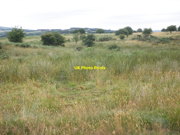 Photo 6"x4" Rough grassland on Room Hill North Court\/SS8537 c2013