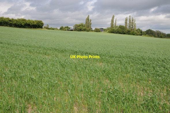 Photo 6"x4" View to Lower Hook Farm The Hook c2013