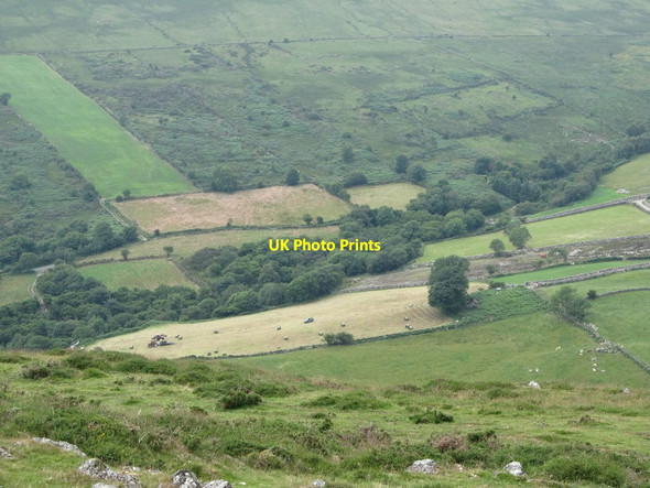 Photo 6"x4" Hay making in the upper Cassy Water Valley Greencastle\/J2411 c2013