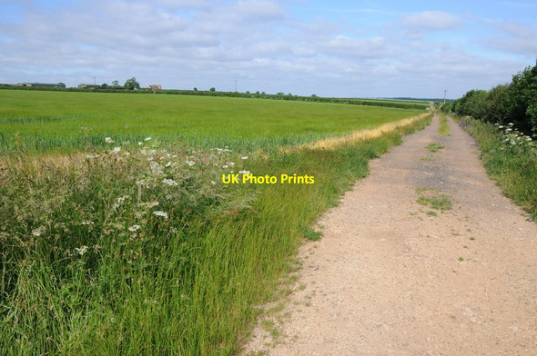Photo 6"x4" Farmland access track Ingthorpe c2013