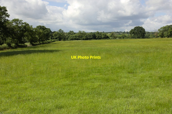 Photo 6"x4" Field, Spruisty Hill Farm Killinghall c2013