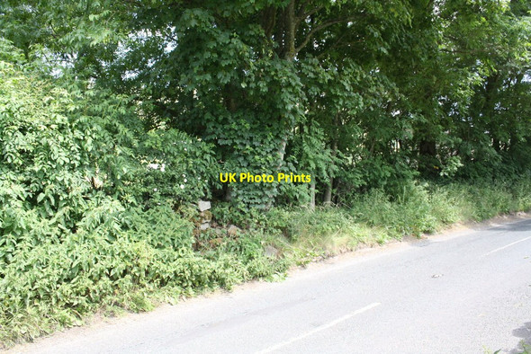 Photo 6"x4" Possible site of Garsdale Toll House on A684 Garsdale\/SD7489 c2013