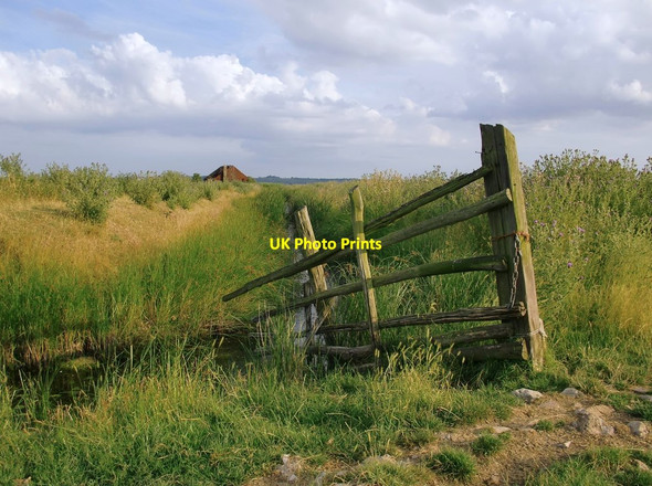 Photo 6"x4" Towards Dowsett's Wick, Cliffe Marshes Cliffe\/TQ7376 c2013