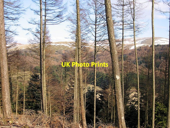 Photo 6"x4" Across Cwm Ystwyth Cwmystwyth c2013