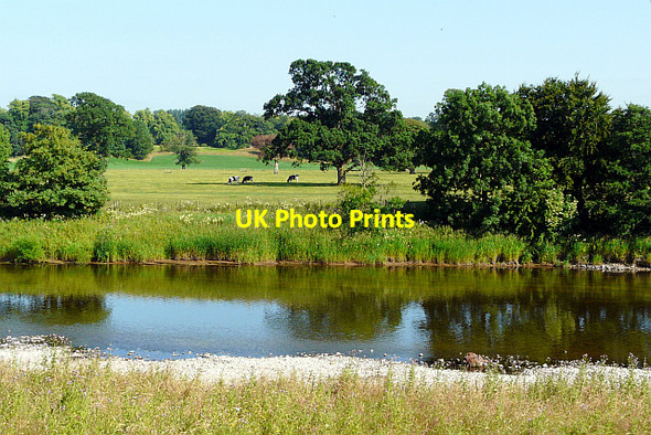 Photo 6"x4" View across the River Esk to parkland at Netherby Netherby\/NY3971 c2013