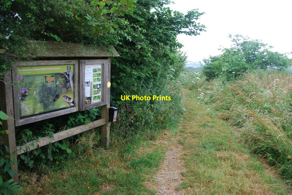 Photo 6"x4" Footpath to Andrew's Wood Hazelwood\/SX7252 c2013