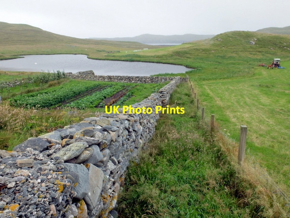 Photo 6"x4" Walled garden at Lingness Brough\/HU4754 c2013