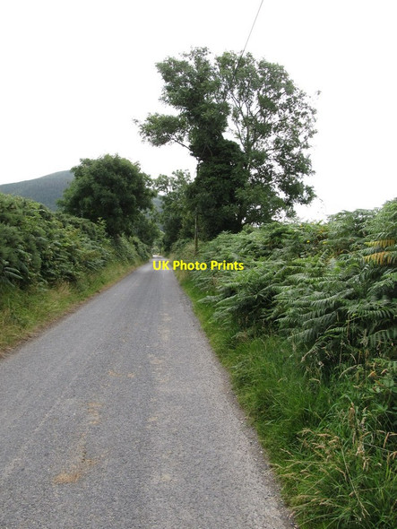 Photo 6"x4" View eastwards along Glenloughan Road Attical c2013