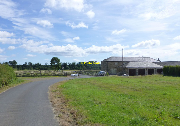 Photo 6"x4" Mouldshaugh near Felton Felton\/NU1800 c2013