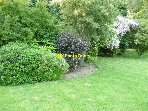 Photo 6"x4" Flowering shrubs in the garden of Winterdown Cottage Ridge Row c2013