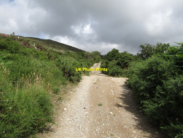 Photo 6"x4" Approaching a junction on the Finlieve Track Attical c2013
