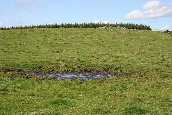 Photo 6"x4" A Soggy Field Bridgend\/NJ5135 c2008