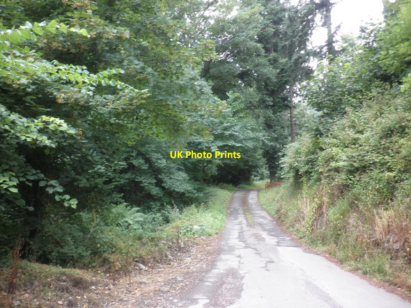 Photo 6"x4" Worthy Toll Road Porlock Weir c2013