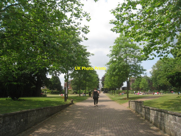 Photo 6"x4" The Memorial Gardens, Ashford Ashford\/TR0042 c2013
