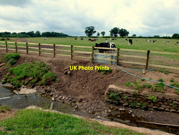 Photo 6"x4" View over the Spring Brook Upper Bentley c2013