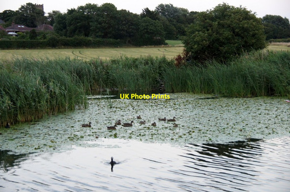 Photo 6"x4" Turning area on the Leeds-Liverpool canal at Melling Maghull c2013