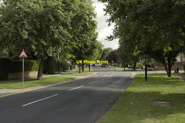 Photo 6"x4" Woodfield Road Harrogate c2013