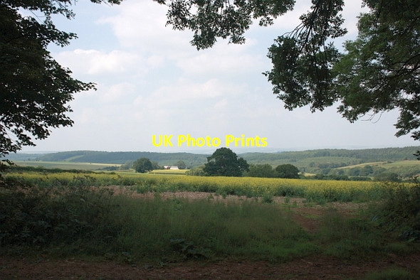 Photo 6"x4" Baxton Howe Hill Ganthorpe c2013