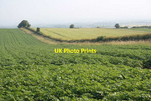 Photo 6"x4" Arable Farming, Slingsby Bank Barton-le-Street c2013