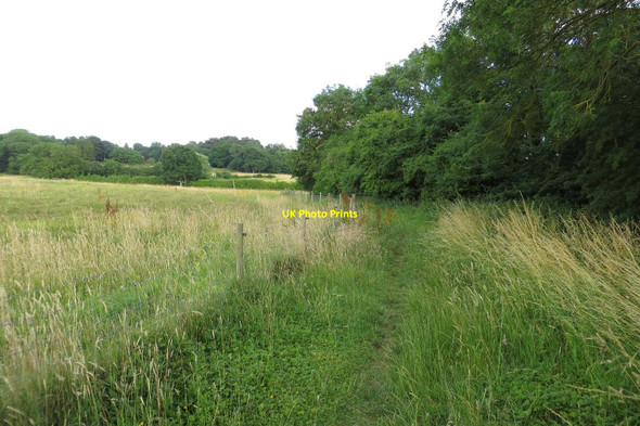Photo 6"x4" Footpath to Boars Hill Boars Hill c2013