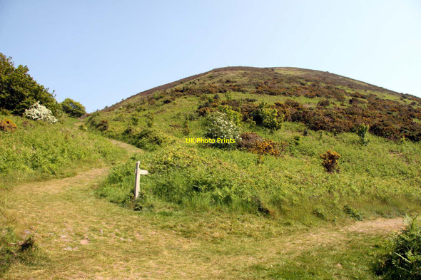 Photo 6"x4" Footpaths under Bossington Hill Bossington\/SS8947 c2013