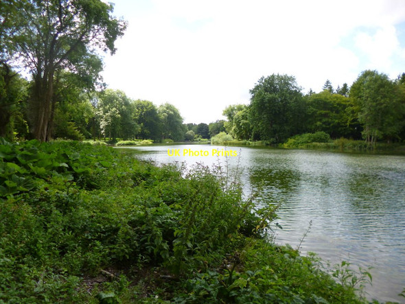Photo 6"x4" Wimborne St Giles, lake Wimborne St Giles c2013