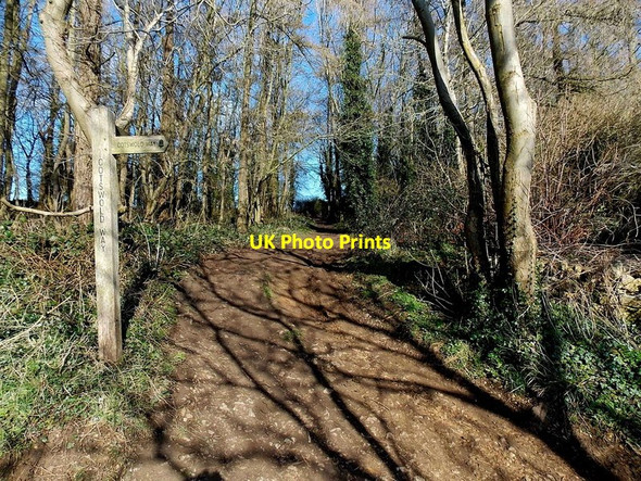 Photo 6"x4" Cotswold Way, Sandpits Stroud\/SO8405 c2013