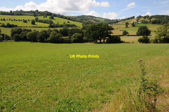 Photo 6"x4" Farmland on Graig Syfyrddin Walson c2013