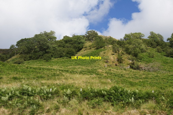 Photo 6"x4" Hillside above Nantgwynant Afon Glaslyn\/SH6553 c2013