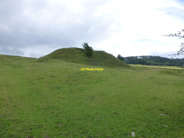 Photo 6"x4" Spoil heap from Whittonlea Quarry Whittingham c2013