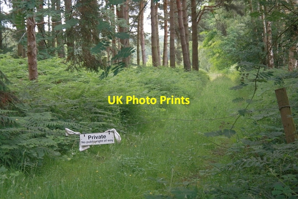 Photo 6"x4" Private Track, Coneysthorpe Bank Woods Coneysthorpe c2013