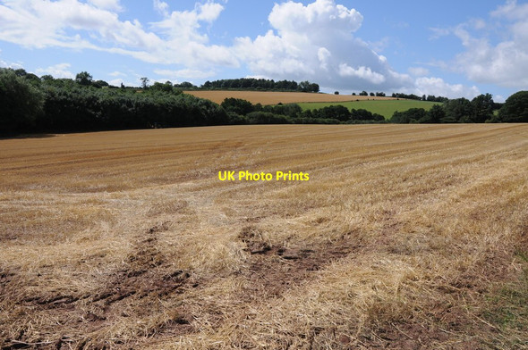 Photo 6"x4" Stubble field near St Weonards St Weonards c2013