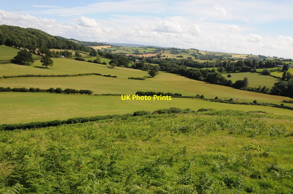 Photo 6"x4" Farmland near Skenfrith Walson c2013