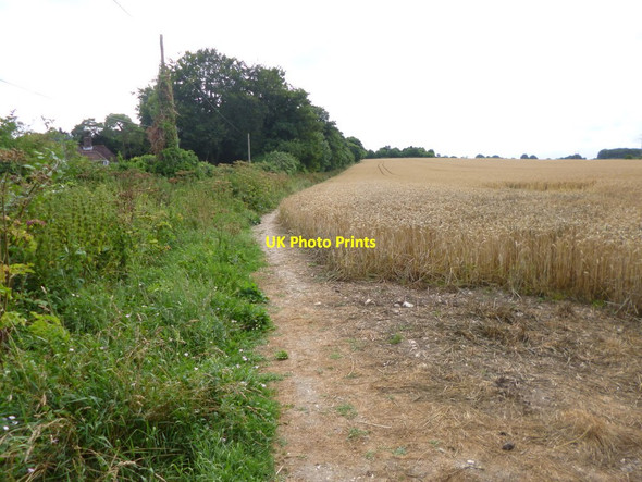 Photo 6"x4" Weeke, footpath Weeke\/SU4630 c2013