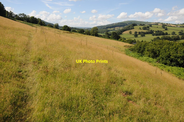 Photo 6"x4" The Monnow Way near Skenfrith Skenfrith c2013