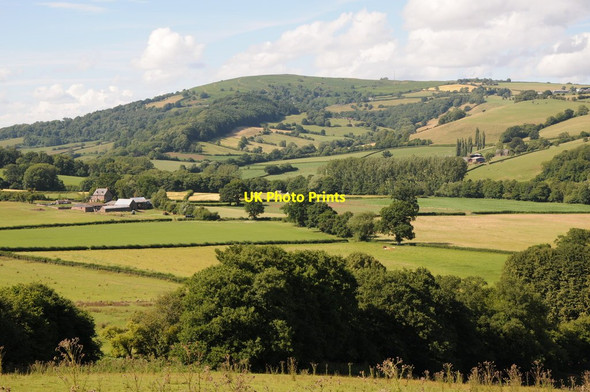 Photo 6"x4" Farmland in the Monnow valley Norton\/SO4420 c2013