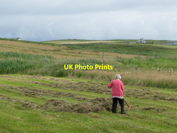 Photo 6"x4" Building haystacks, Gord Gord\/HU4329 c2013
