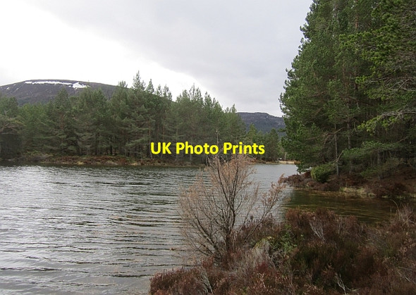 Photo 6"x4" Lochan Deo Coylumbridge c2013