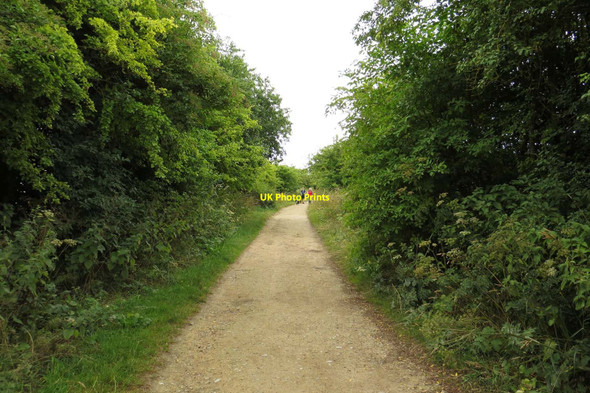 Photo 6"x4" The Ridgeway to Wayland's Smithy Ashbury\/SU2685 c2013