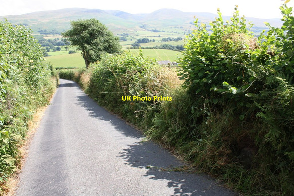 Photo 6"x4" Minor road heading towards Gill Foot Middleton\/SD6286 c2013