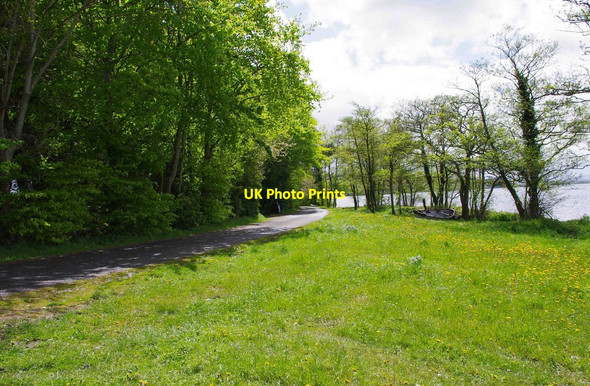 Photo 6"x4" The road at Luska Pier, Co. Tipperary Coolbaun c2013