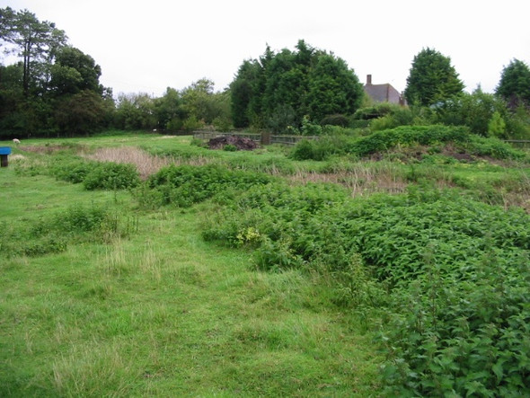 Photo 6"x4" Looking N along the course of the river Nailbourne Ottinge c2008