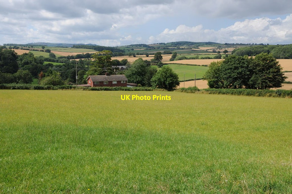 Photo 6"x4" Farmland at St Weonards St Weonards c2013